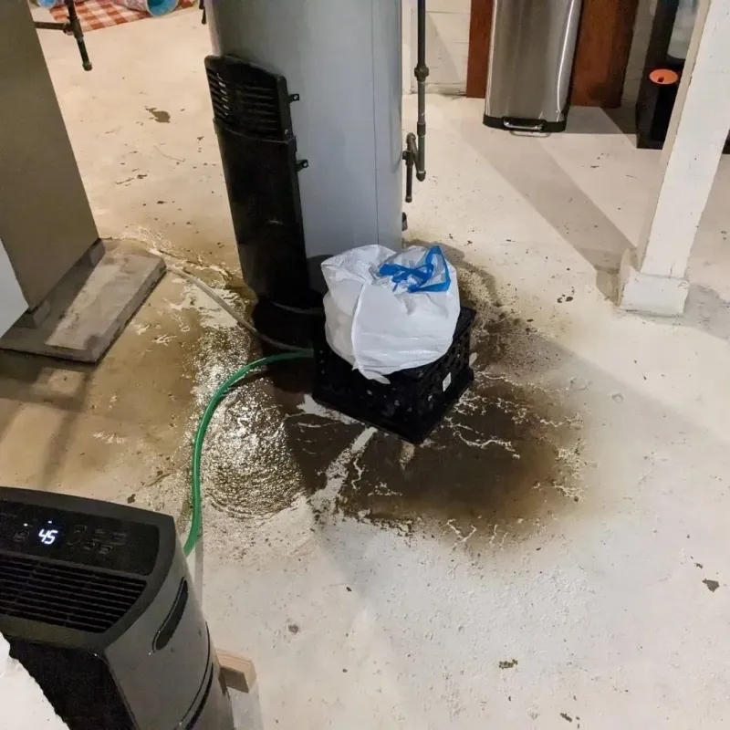 Sewage Backup Cleanup Service in Adams County, WA